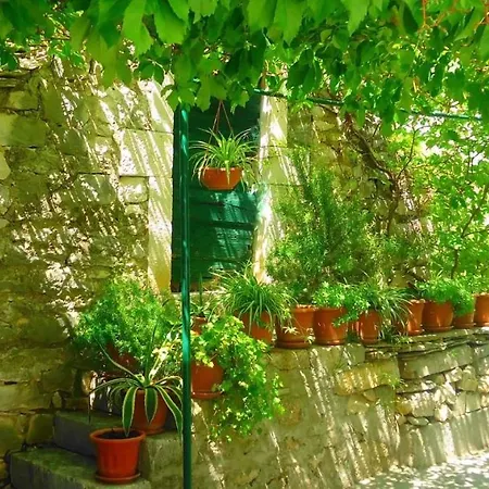 Emma Penzion Trogir